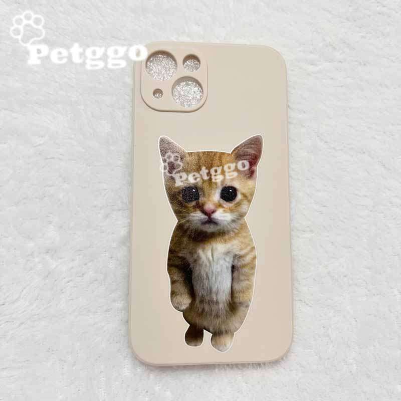 Caja del teléfono para iphone