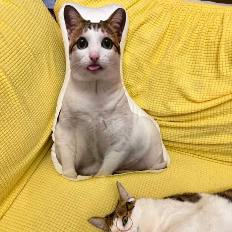 A Ugly Customized Copy Cat/Dog/ Pet Plush pillow (Buy 2, Get 1 For Free)