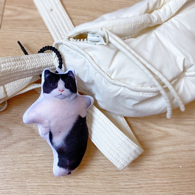 Dance Meme Cat (¡Compre 2 y obtenga 1 gratis!)