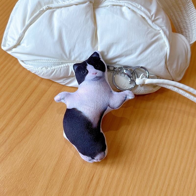 Dance Meme Cat (¡Compre 2 y obtenga 1 gratis!)