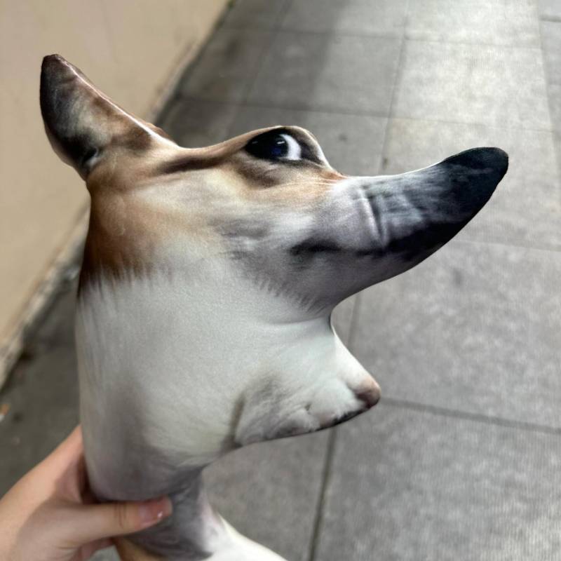 A Ugly Customized Copy Cat/Dog/ Pet Plush pillow (Buy 2, Get 1 For Free)