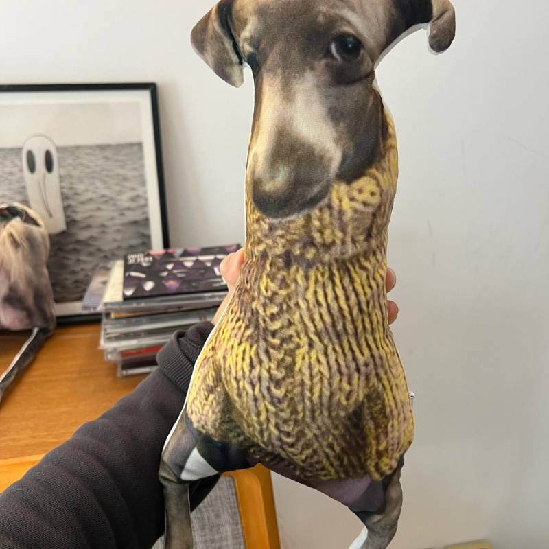 A Ugly Customized Copy Cat/Dog/ Pet Plush pillow (Buy 2, Get 1 For Free)