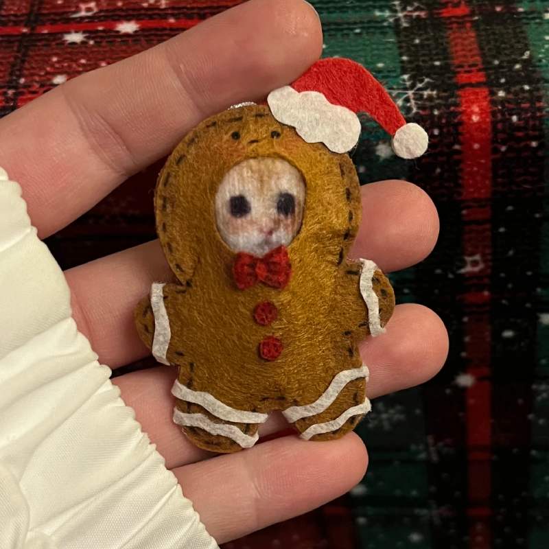 Cute non-woven fabric Meme Cats