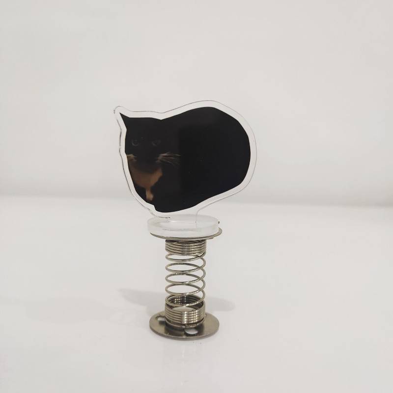 ROCKING Meme Cats (Compre 2 y obtenga 1 gratis + Envío gratis para cualquier 3)