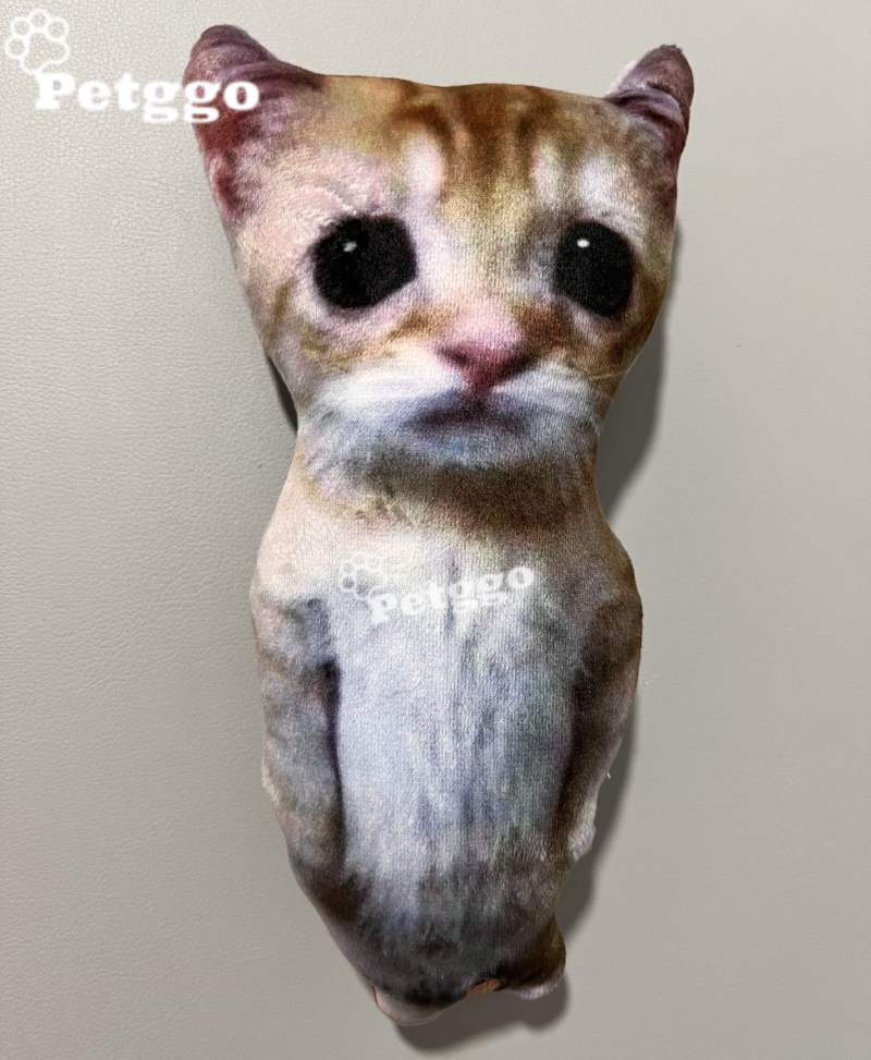 Elgato Cat: compre 2 y obtenga 1 gratis