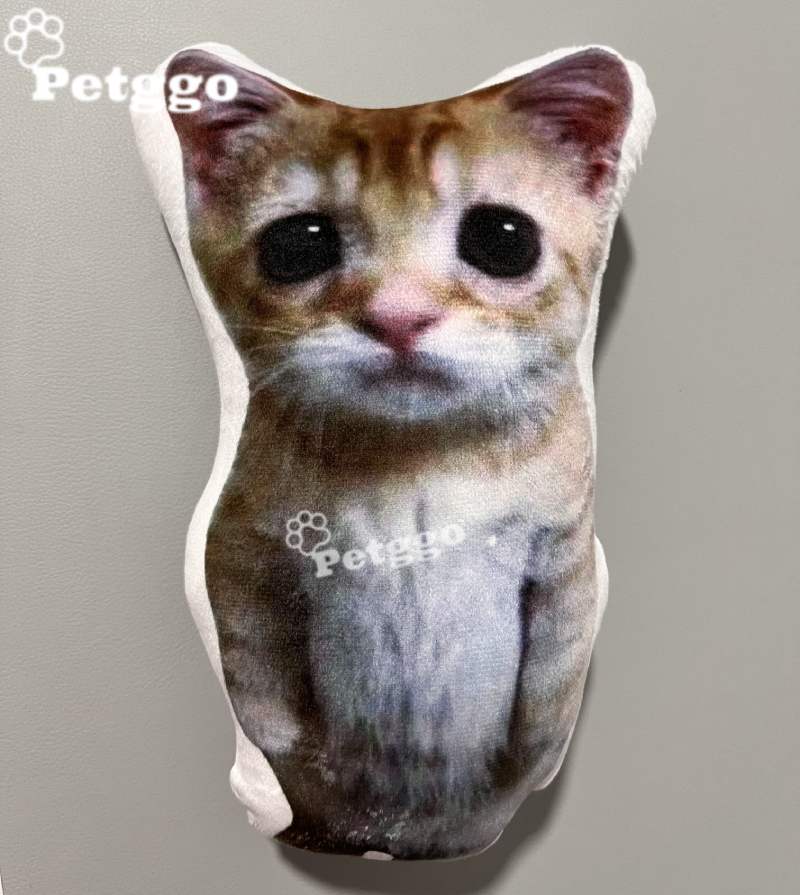 Elgato Cat: compre 2 y obtenga 1 gratis