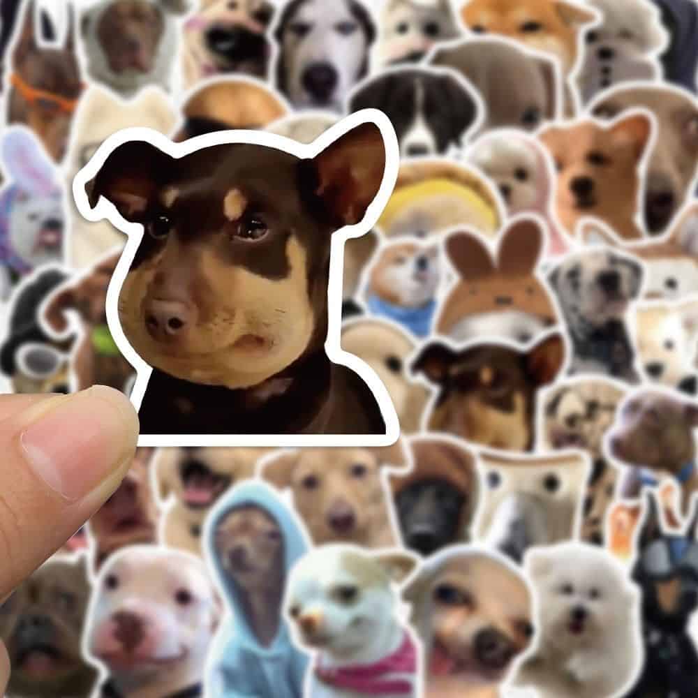 Pegatinas divertidas para gatos/perros-- Envío gratis para cualquier 2