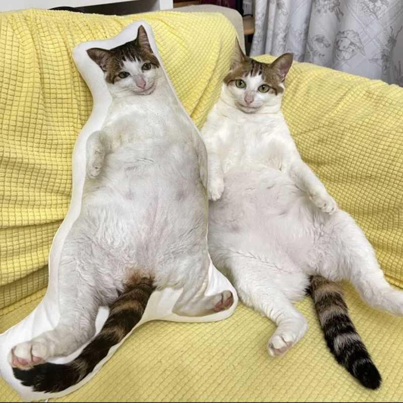 Almohada de felpa de gato con copia personalizada fea (compre 2 y obtenga 1 gratis)