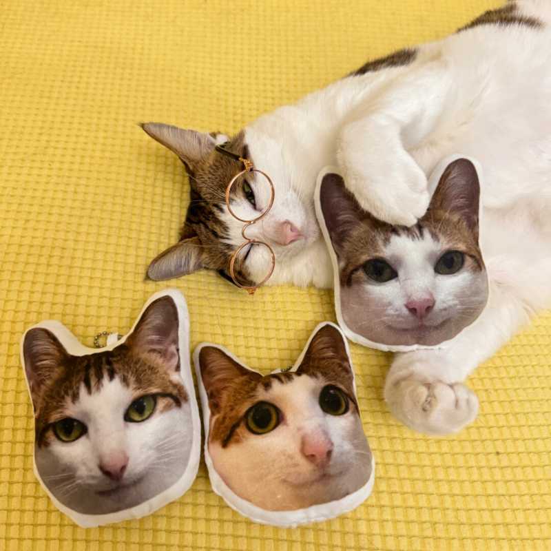 Almohada de felpa de gato con copia personalizada fea (compre 2 y obtenga 1 gratis)