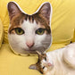 Almohada de felpa de gato con copia personalizada fea (compre 2 y obtenga 1 gratis)