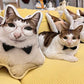 Almohada de felpa de gato con copia personalizada fea (compre 2 y obtenga 1 gratis)