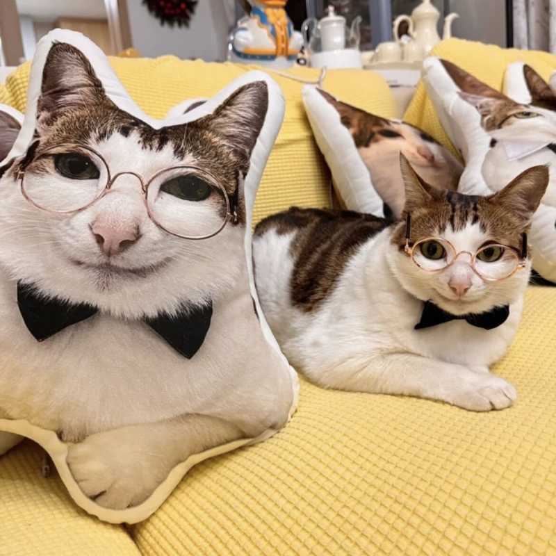 Almohada de felpa de gato con copia personalizada fea (compre 2 y obtenga 1 gratis)