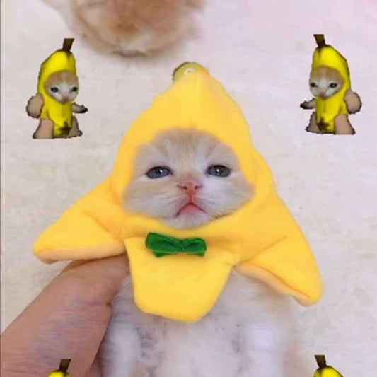 Банановая шляпа для кошки, кота, кошки -（Половина цены за вторую)